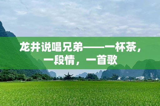 龙井说唱兄弟——一杯茶，一段情，一首歌