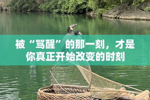 被“骂醒”的那一刻，才是你真正开始改变的时刻