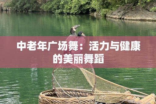 中老年广场舞：活力与健康的美丽舞蹈
