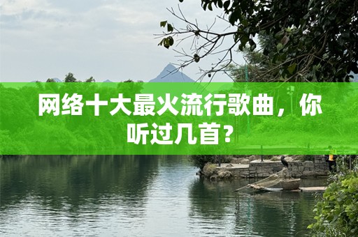 网络十大最火流行歌曲，你听过几首？