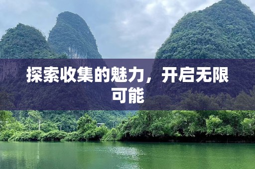 探索收集的魅力，开启无限可能