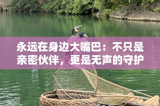 永远在身边大嘴巴：不只是亲密伙伴，更是无声的守护者