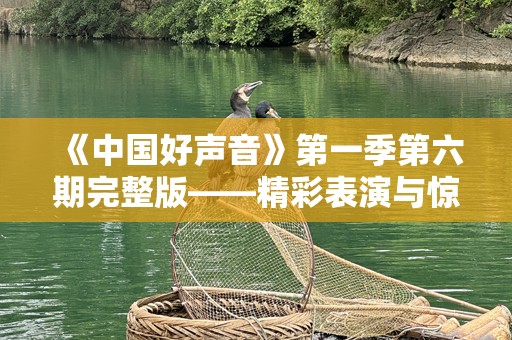 《中国好声音》第一季第六期完整版——精彩表演与惊人选手，震撼你的耳朵！
