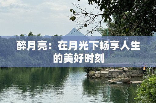 醉月亮：在月光下畅享人生的美好时刻