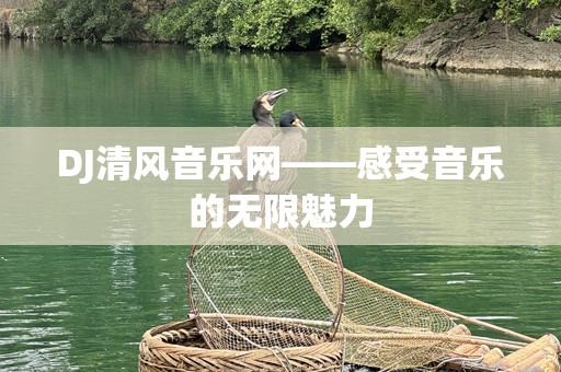 DJ清风音乐网——感受音乐的无限魅力
