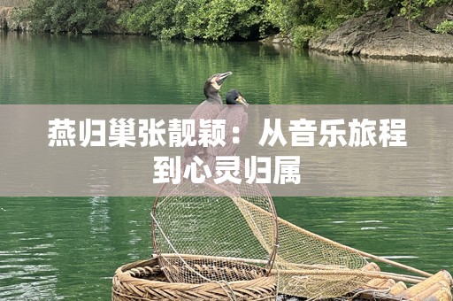 燕归巢张靓颖：从音乐旅程到心灵归属