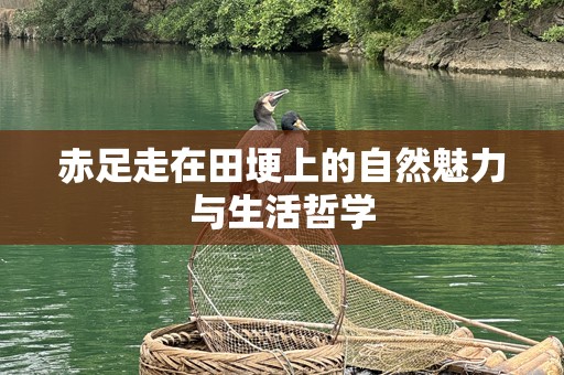 赤足走在田埂上的自然魅力与生活哲学