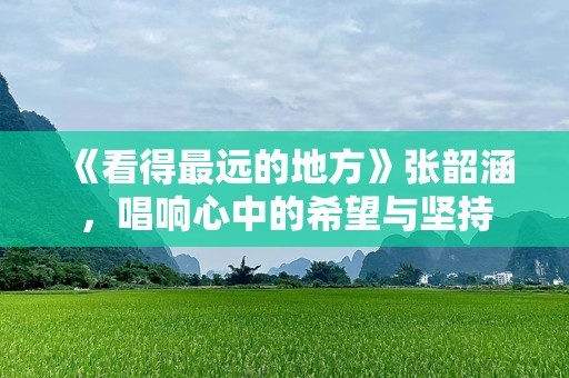 《看得最远的地方》张韶涵，唱响心中的希望与坚持