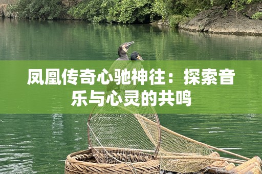 凤凰传奇心驰神往：探索音乐与心灵的共鸣