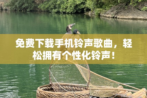 免费下载***歌曲，轻松拥有个性化***！