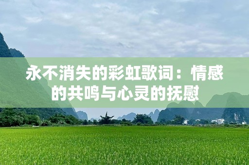 永不消失的彩虹歌词：情感的共鸣与心灵的抚慰