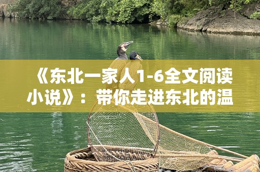 《东北一家人1-6全文阅读小说》：带你走进东北的温馨与幽默