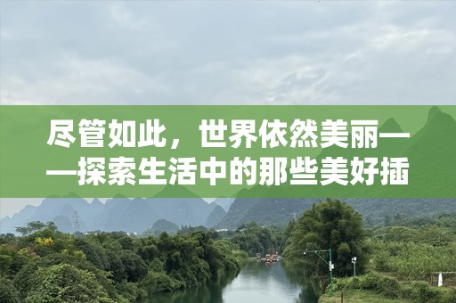 尽管如此，世界依然美丽——探索生活中的那些美好插曲