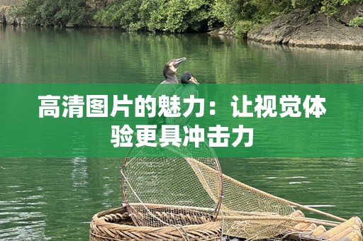高清图片的魅力：让视觉体验更具冲击力