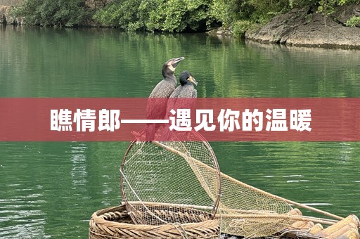 瞧情郎——遇见你的温暖
