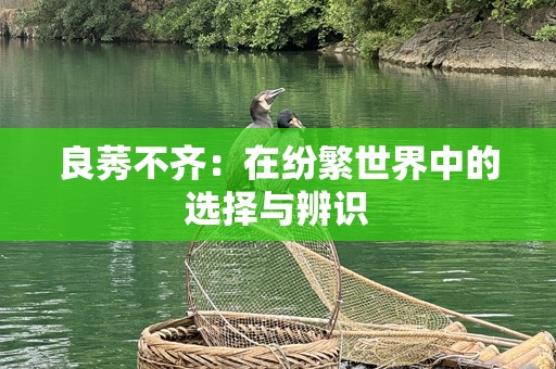 良莠不齐：在纷繁世界中的选择与辨识