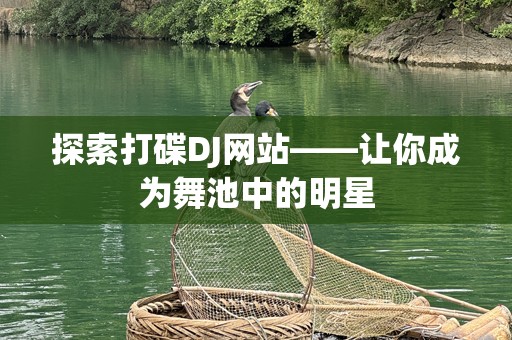 探索打碟DJ网站——让你成为舞池中的明星
