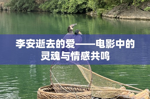 李安逝去的爱——电影中的灵魂与情感共鸣
