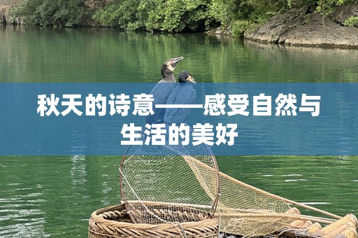 秋天的诗意——感受自然与生活的美好