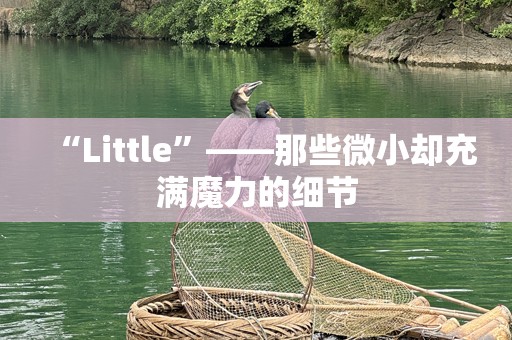 “Little”——那些微小却充满魔力的细节