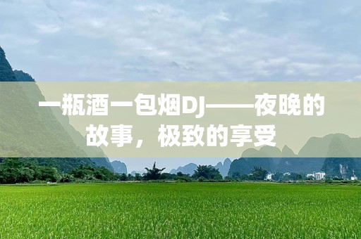 一瓶酒一包烟DJ——夜晚的故事，极致的享受