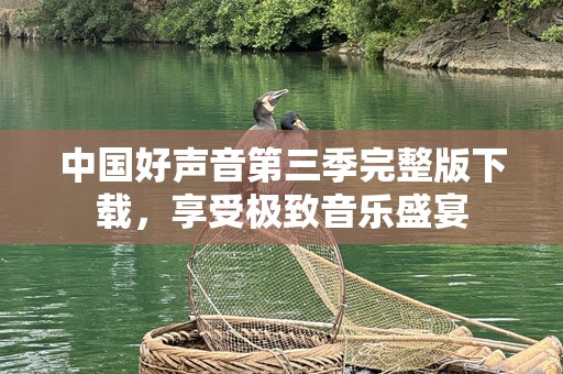 中国好声音第三季完整版下载，享受极致音乐盛宴