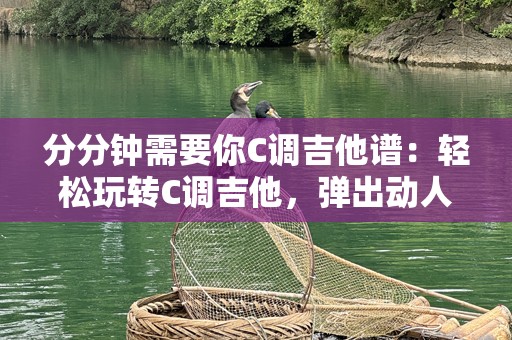 分分钟需要你C调吉他谱：轻松玩转C调吉他，弹出动人旋律