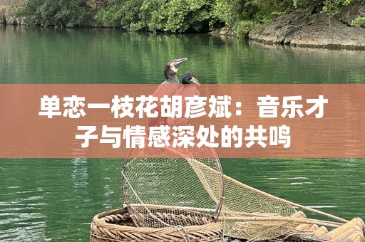 单恋一枝花胡彦斌：音乐才子与情感深处的共鸣