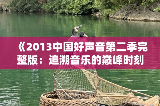《2013中国好声音第二季完整版：追溯音乐的巅峰时刻》