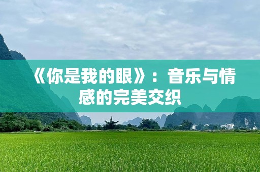 《你是我的眼》：音乐与情感的完美交织