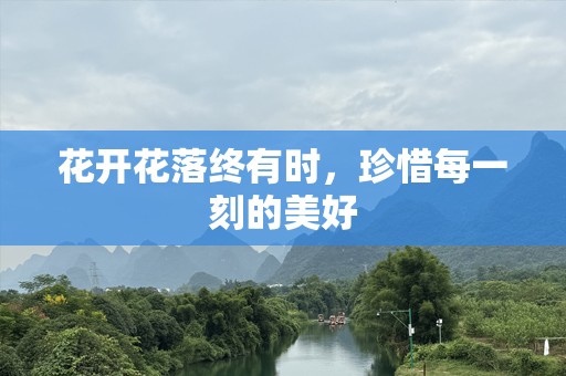 花开花落终有时，珍惜每一刻的美好