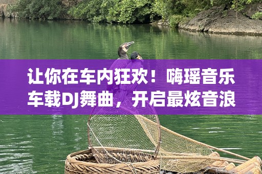 让你在车内狂欢！嗨瑶音乐车载DJ舞曲，开启最炫音浪之旅