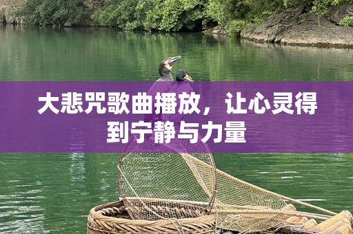 大悲咒歌曲播放，让心灵得到宁静与力量
