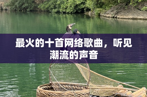 最火的十首网络歌曲，听见潮流的声音