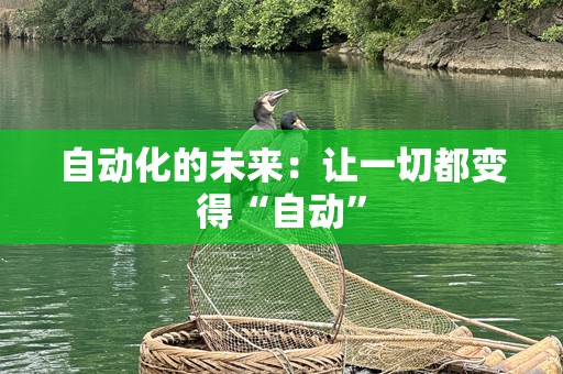 自动化的未来：让一切都变得“自动”