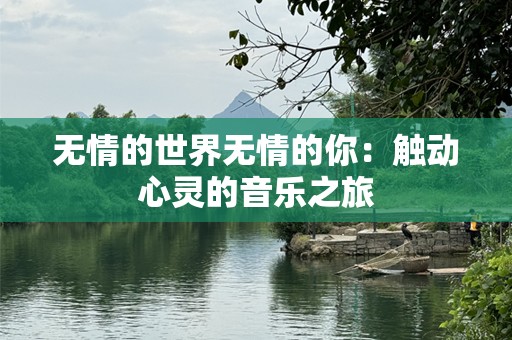 无情的世界无情的你：触动心灵的音乐之旅