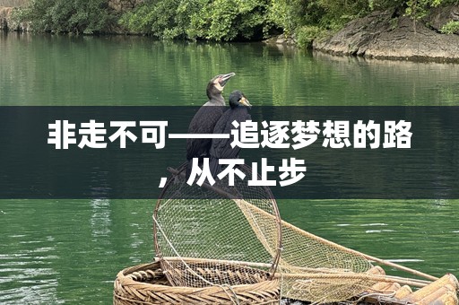 非走不可——追逐梦想的路，从不止步