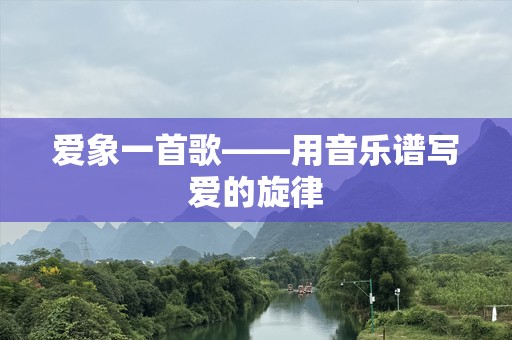 爱象一首歌——用音乐谱写爱的旋律