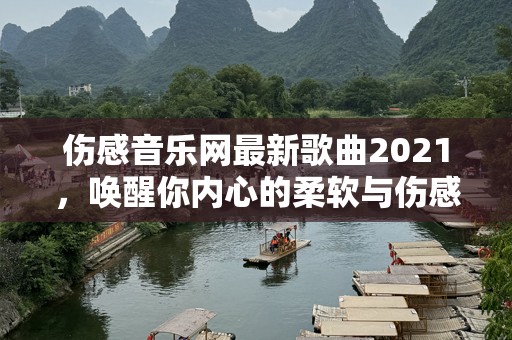 伤感音乐网最新歌曲2021，唤醒你内心的柔软与伤感