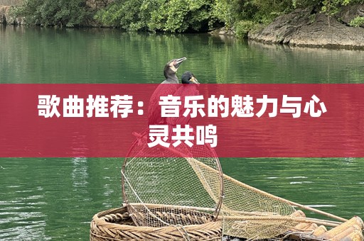 歌曲推荐：音乐的魅力与心灵共鸣