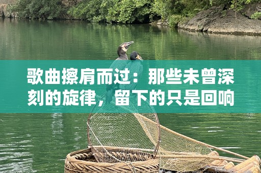 歌曲擦肩而过：那些未曾深刻的旋律，留下的只是回响