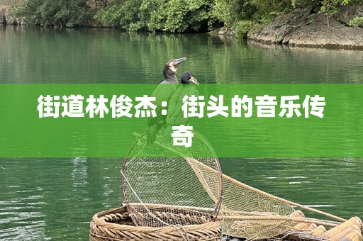 街道林俊杰：街头的音乐传奇