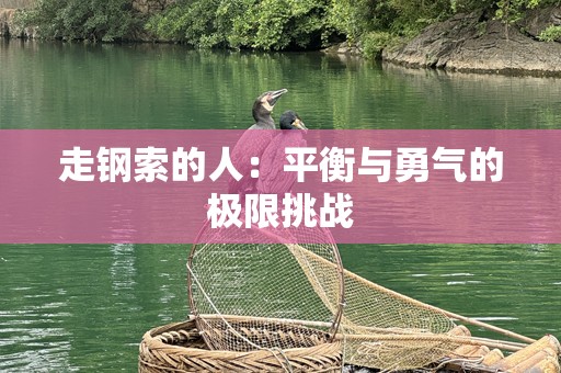 走钢索的人：平衡与勇气的极限挑战