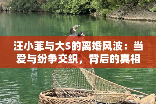 汪小菲与大S的离婚风波：当爱与纷争交织，背后的真相究竟是什么？