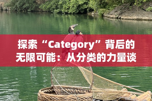 探索“Category”背后的无限可能：从分类的力量谈起
