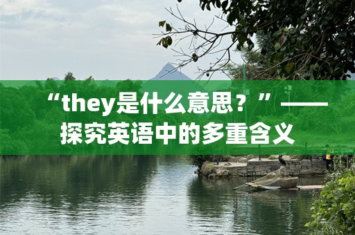 “they是什么意思？”——探究英语中的多重含义