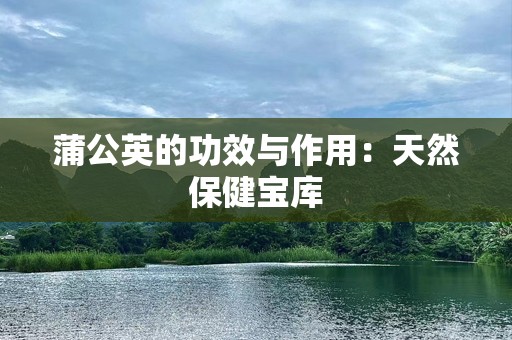 蒲公英的功效与作用：天然保健宝库