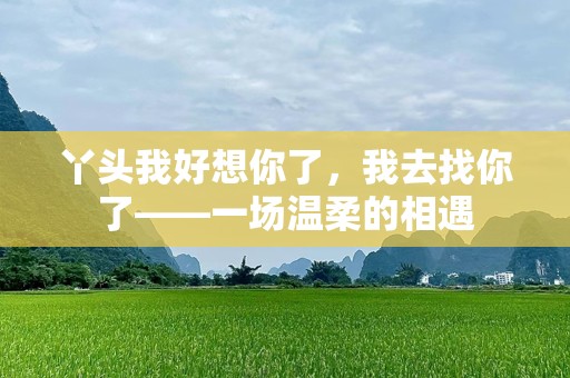丫头我好想你了，我去找你了——一场温柔的相遇