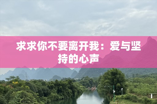 求求你不要离开我：爱与坚持的心声