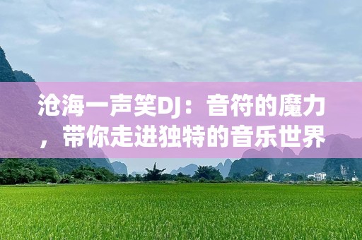 沧海一声笑DJ：音符的魔力，带你走进独特的音乐世界